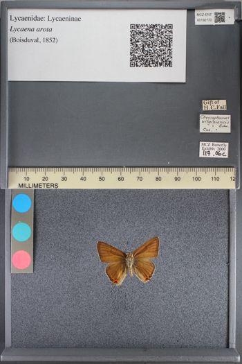 Media type: image;   Entomology 192770